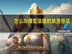 怎么办理去法国的旅游签证