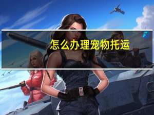 怎么办理宠物托运