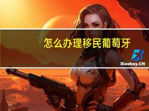 怎么办理移民葡萄牙