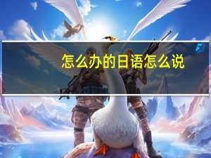 怎么办的日语怎么说
