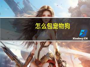 怎么包宠物狗