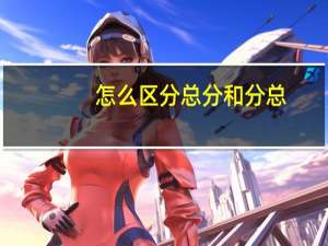 怎么区分总分和分总