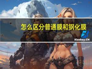 怎么区分普通膜和钢化膜