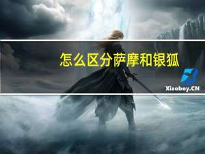 怎么区分萨摩和银狐