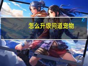 怎么升级问道宠物