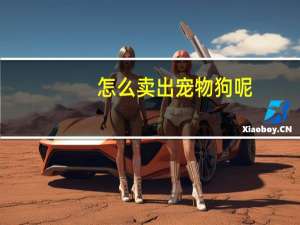 怎么卖出宠物狗呢