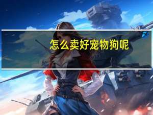 怎么卖好宠物狗呢