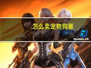 怎么卖宠物狗崽