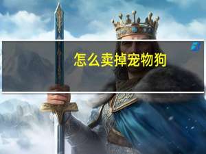 怎么卖掉宠物狗