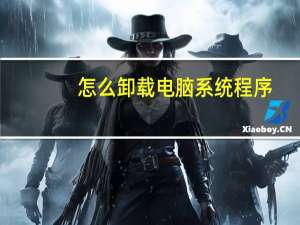 怎么卸载电脑系统程序