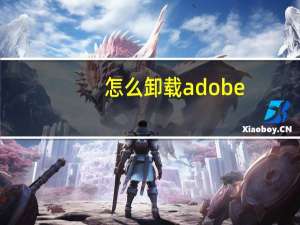 怎么卸载adobe