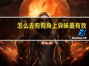 怎么去狗狗身上异味最有效