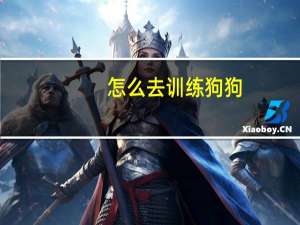 怎么去训练狗狗