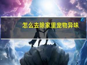 怎么去除家里宠物异味