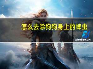 怎么去除狗狗身上的蜱虫