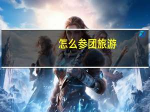 怎么参团旅游