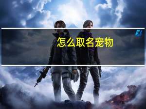 怎么取名宠物