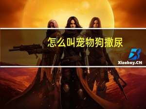 怎么叫宠物狗撒尿