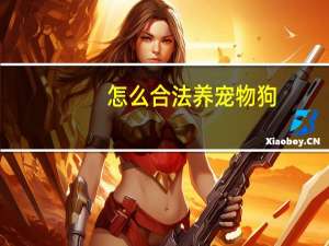 怎么合法养宠物狗