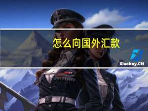 怎么向国外汇款
