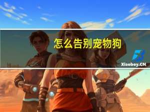 怎么告别宠物狗