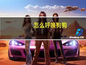 怎么呼唤狗狗