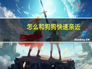 怎么和狗狗快速亲近