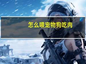 怎么喂宠物狗吃肉