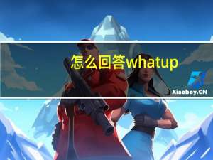 怎么回答what up