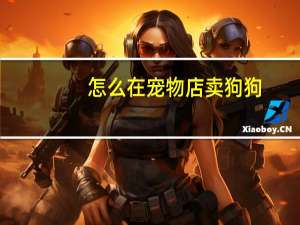 怎么在宠物店卖狗狗