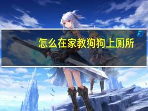 怎么在家教狗狗上厕所