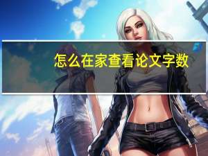 怎么在家查看论文字数