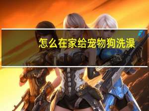 怎么在家给宠物狗洗澡