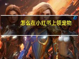 怎么在小红书上领宠物