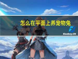 怎么在平面上养宠物兔