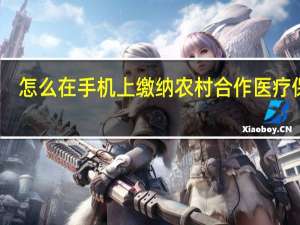 怎么在手机上缴纳农村合作医疗保险