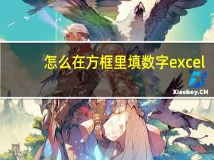 怎么在方框里填数字excel（如何在方框中填写数字）