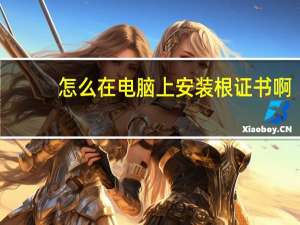 怎么在电脑上安装根证书啊