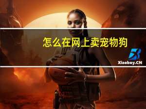怎么在网上卖宠物狗