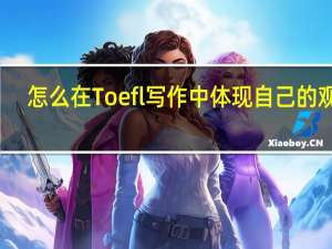 怎么在Toefl写作中体现自己的观点