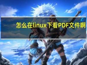 怎么在linux下看PDF文件啊？