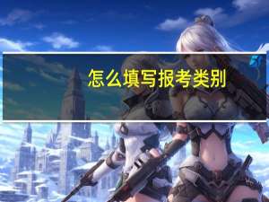 怎么填写报考类别