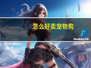 怎么好卖宠物狗
