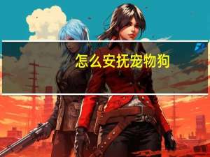 怎么安抚宠物狗