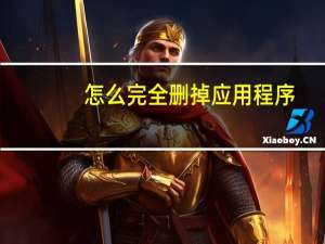 怎么完全删掉应用程序