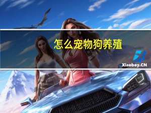 怎么宠物狗养殖