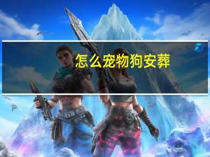怎么宠物狗安葬