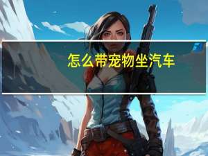 怎么带宠物坐汽车