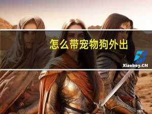 怎么带宠物狗外出