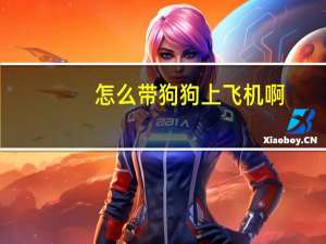 怎么带狗狗上飞机啊